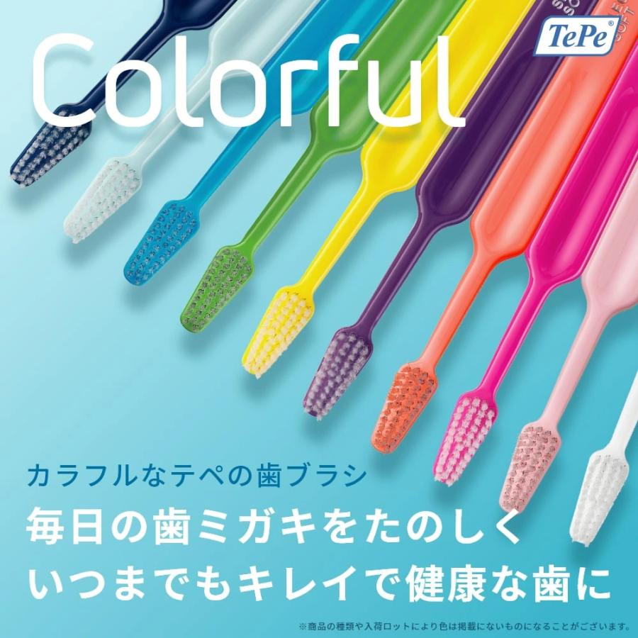 予防歯科先進国スウェの外観
